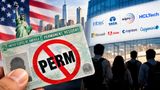 What Is the PERM Green Card Programme? US Green Card Shock For Infosys, TCS, Wipro And Other IT Firms