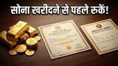 गोल्ड इन्वेस्टमेंट: क्या आप भी सोने में पैसा फंसाकर गलती कर रहे हैं?