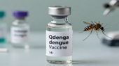 भारत में पहली Dengue Vaccine को मंजूरी! 4 से 60 साल तक के लोगों को मिलेगा सुरक्षा कवच
