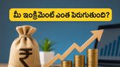 టీసీఎస్ సీఈఓ జీతం రూ. 28 కోట్లు.. మీ ఇంక్రిమెంట్ విషయంలో కంపెనీ ప్లాన్ ఇదేనా?
