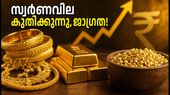 ആർബിഐയുടെ നിർണായക തീരുമാനം; കേരളത്തിൽ സ്വർണവില കുതിച്ചുയരുന്നു, അറിയേണ്ടതെല്ലാം