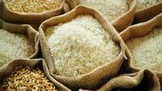 Indian Government Prohibits Non-Basmati White Rice Export