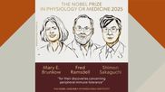 Nobel Prize 2025: Nobel For Medicine Awarded To Mary Brunkow, Fred Ramsdell, Shimon Sakaguchi; Who Are They?