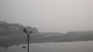 Delhi Airport Issues Passenger Advisory as Heavy Fog Disrupts Flights; Normal Operations Resume