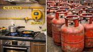 Gas Cylinder New Rules: Remove Indane, HP, Bharat Gas in 30 Days After PNG Connection, No LPG Refill Too!