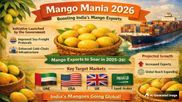Global Mango Exports Rise in 2024: India Faces Pricing, Policy and Market Access Challenges