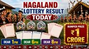 Nagaland Dear Lottery Result Today 4.8.2026 1 PM 6 PM 8 PM | Lottery Sambad LIVE: Check Full Winners List