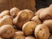 ಒಂದು ದಶಕದಲ್ಲಿಯೇ ಆಲೂಗಡ್ಡೆ ಮಾಸಿಕ ಸರಾಸರಿ ಬೆಲೆ ಅಧಿಕ