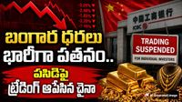 రూ. 56 వేల వరకు తగ్గిన బంగారం ధర.. భయంతో పసిడిపై ట్రేడింగ్ ఆపేసిన చైనా..పెట్టుబడిదారులు తీవ్ర ఆందోళన..