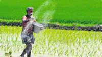 కర్నూలు, నెల్లూరు జిల్లాలకు బిగ్ బూస్ట్.. రూ.630 కోట్లతో అగ్రో ఆధారిత యూనిట్లు.. 1,800 ఉద్యోగాలు..