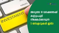പൊന്മുട്ടയിടുന്ന താറാവാകും; അടുത്ത 10 വര്‍ഷത്തേക്ക് കണ്ണുംപൂട്ടി നിക്ഷേപിക്കാം; 5 സെക്ടറുകള്‍ ഇതാ