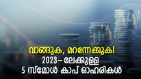 വാങ്ങുക, മറന്നേക്കുക! 2023-ലേക്കുള്ള 5 സ്‌മോള്‍ കാപ് ഓഹരികള്‍; നോക്കുന്നോ?
