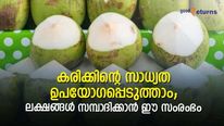 കരിക്ക് ചെറിയ പുള്ളിയല്ല; വെട്ടിയെടുത്ത് പാക്കിലാക്കിയാല്‍ ഉ​ഗ്രൻ വരുമാനം; സംരഭ സാധ്യത നോക്കാം