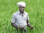 மத்திய அரசின் பயிர் கடன் எங்கே செல்கிறது..? விவசாயிகள் ஏமாற்றம்