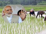3.10 கோடி விவசாயிகளுக்கு பிரதமர் விவசாயத் திட்டத்தின் கீழ் முதல் தவணை கொடுத்துவிட்டோம்..! 