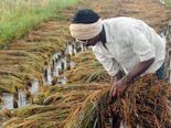 சாமானியர்களுக்கு என்ன சலுகை.. நிதியமைச்சர் என்ன சொல்கிறார்..! 