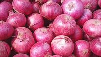 மீண்டும் இமாலய உச்சத்தை தொட்ட வெங்காயத்தின் விலை.. கவலையில் இல்லத்தரசிகள்..! 