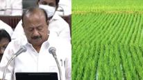  இளைஞர்களுக்கு ரூ.1 லட்சம் நிதியுதவி.. வேளாண் பட்ஜெட்டில் அசத்தலான அறிவிப்பு..!