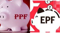 PPF Vs EPF: ஊழியர்களுக்கு ஏற்றது எது.. பொது  வருங்கால வைப்பு நிதியா ஊழியர் வருங்கால வைப்பு நிதியா? 