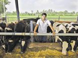 ఉద్యోగం మానేసిన ఒక సాఫ్ట్ వేర్ అద్భుతం సృష్టించాడు..నెలకి రూ.8,00,000 లక్షలు సంపాదన?