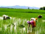 జగన్ కీలక నిర్ణయాలు, ఏడాదికి రూ.12,500 భరోసా, వివరాలివీ..