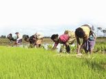 అర్హత, పెన్షన్, రిజిస్ట్రేషన్: పీఎం కిసాన్ మాన్-ధన్ యోజన గురించి తెలుసుకోండి