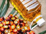 Cooking Oil Prices: భారీగా తగ్గిన వంటనూనె ధరలు.. లీటరుకు ఎంత తగ్గిందంటే..