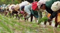 PM Kisan: పీఎం కిసాన్ డబ్బు వెనక్కివ్వాలంటూ ఆ రైతులకు నోటీసులు.. మీకూ ఇలా జరగొచ్చు.. ఎందుకంటే..