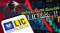 LIC Share: ఇన్వెస్టర్లకు కన్నీరు మిగిల్చిన ఎల్ఐసీ.. లక్షల కోట్ల నష్టం.. దీనికి కేంద్రం స్వార్థమే కారణమా..?