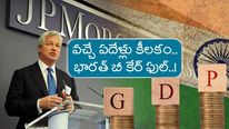 Indian Economy: భారత వృద్ధిపై JP మోర్గాన్ సీఈవో కామెంట్స్.. కీలక కామెంట్స్.. అమెరికా విషయంలో.. 