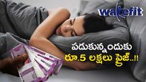 Sleeping Champion: నిద్రపోయి రూ.5 లక్షలు గెలుచుకున్న యువతి.. మరో సారి అవకాశం.. మీకూ వినియోగించుకోండి.  
