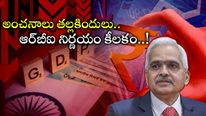 RBI: ఆర్‌బీఐ ఆ నిర్ణయం తీసుకుంటే కష్టమే.. ఆందోళనలో వ్యాపారులు.. వృద్ధి రేటు తగ్గించిన ఫిచ్.. 