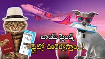 Akasa Air: జంతు ప్రియులకు ఆకాశ గుడ్ న్యూస్.. నవంబర్ 1st నుంచి అందుబాటులోకి.. 