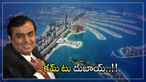 Mukesh Ambani: దుబాయ్ లో దుమ్మురేపుతున్న అంబానీ.. లగ్జరీ బీచ్ రిసార్ట్ కొనుగోలు..