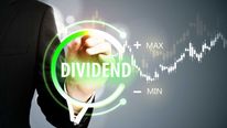  Dividend: ఒక్కో షేరుకు రూ.100 డివిడెండ్.. మీ దగ్గర ఈ అగ్రోకెమికల్ స్టాక్ ఉందా..?