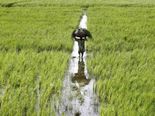   Farmers: రైతులకు గుడ్ న్యూస్.. అన్నదాతలకు ఊరటను కల్పించిన కేంద్ర ప్రభుత్వం..