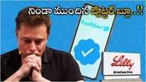  Twitter Blue: ట్విట్టర్ వల్ల ఫార్మా కంపెనీకి కష్టాలు.. వేల కోట్ల నష్టం.. జాగ్రత్త