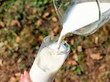  Milk: ఖరీదైన పాలు..  లీటర్ ధర రూ.7,000.. దేశవిదేశాల్లో సూపర్ డిమాండ్..!
