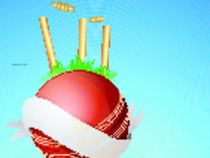  Are IPL teams on a strong wicket financially?
