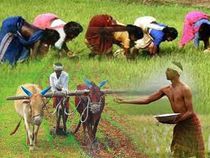 Buy This Debt Free Mid Cap Agriculture Stock For A Target Price Of Rs 1160/Share, Sees 16% Upside