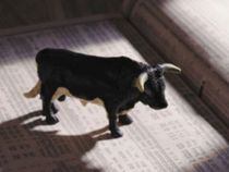 Best Stocks To Invest That Are Priced Under Rs 50