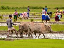 7 New Schemes in Union Budget 2018-19