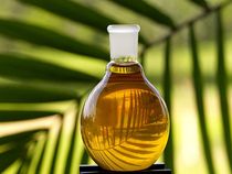 8 Best Edible Oil Company Stocks With Strong Fundamentals
