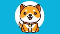 What is Baby Dogecoin? Should You Buy Baby Dogecoin Cryptocurrency?