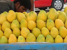 पहली बार ऑस्ट्रेलियाई चखेंगे भारतीय आम का स्वाद 