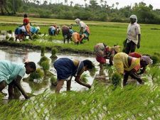 पीएम किसान योजना के तहत 1 करोड़ से ज्यादा किसानों को पहली किश्त ट्रांसफर