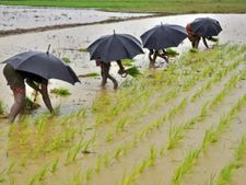 सामान्य Monsoon की खबर से लुढ़के खाने-पीने की चीजों के दाम