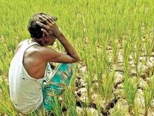 PM Kisan पैसा न मिला हो तो इस हेल्पलाइन नंबर पर बताएं, तुरंत मिलेगा
