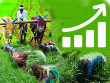 FICCI की मांग सरकार ने सुनी तो किसानों की हो जाएगी बल्ले-बल्ले