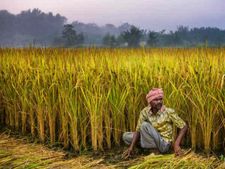 pm kisan : पैसा मिला या नहीं, अब इस नई वेबसाइट से लें जानकारी 